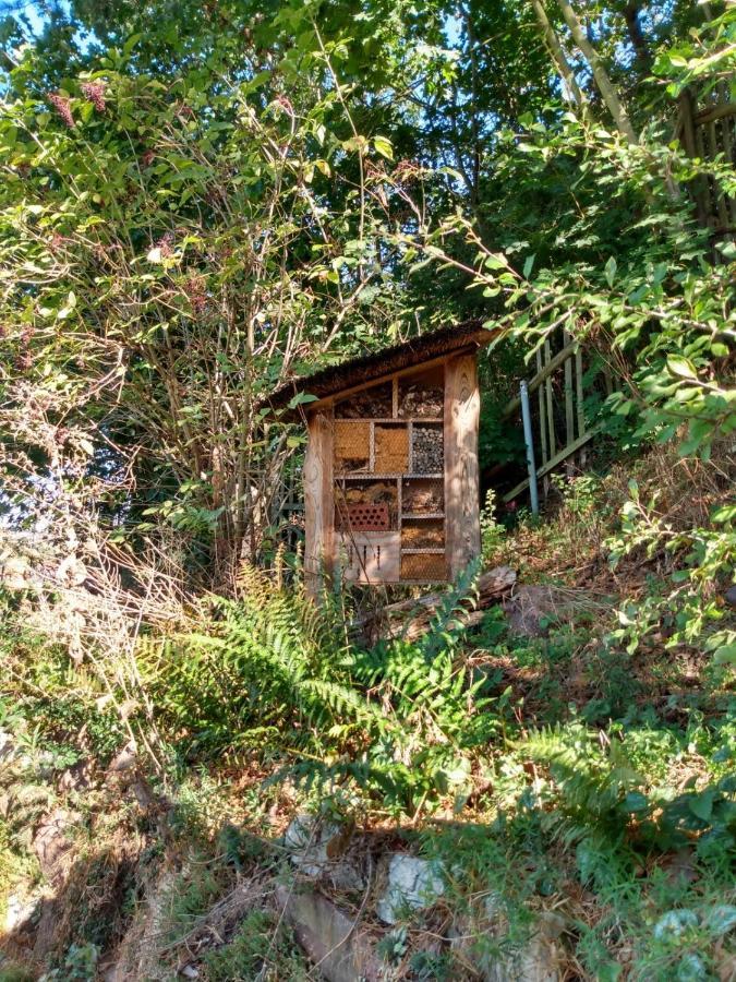 Natuerlich Kirchner Haus Katrin Villa Eisenach Exterior photo
